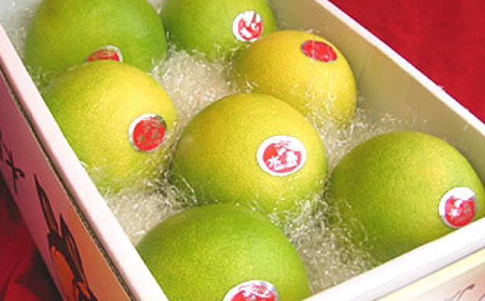 南国土佐の女王柑橘 水晶文旦 約3kg 7玉入り〈2025年9月中旬～2025年12月下旬頃発送〉/ 文旦 ぶんたん フルーツ 果物 3キロ 高知県 【フルーツショップオザキ】 [ATAH006]