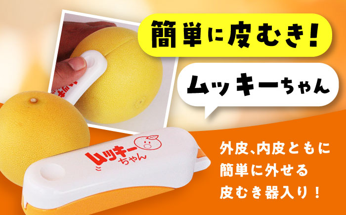 南国土佐の女王柑橘 水晶文旦 約3kg 6玉入り〈2025年9月中旬～2025年12月下旬頃発送〉/ ぶんたん 文旦 フルーツ 高知名物 果物 【フルーツショップオザキ】 [ATAH007]