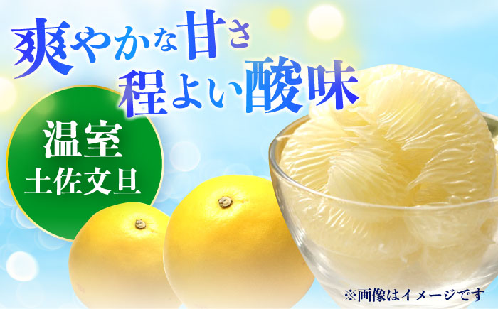 【先行予約】南国高知温室土佐文旦 約3kg 6玉〈2025年11月中旬～2026年2月中旬頃発送〉/ 文旦 ぶんたん フルーツ 果物 3キロ 高知県 【フルーツショップオザキ】[ATAH012]