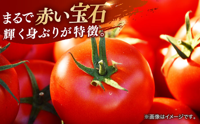 【先行予約】特選 徳谷トマト 約2kg 生産者52番 〈2026年1月中旬～2026年6月下旬頃発送〉/ トマト フルーツトマト 【フルーツショップオザキ】[ATAH014]