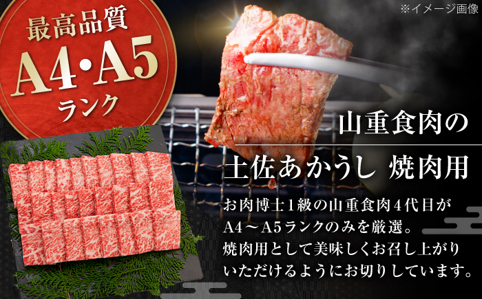 土佐あかうし　焼肉 約200g / やわらか ヘルシー うま味凝縮 【(有)山重食肉】 [ATAP180]