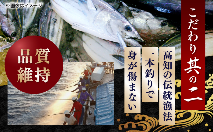 一本釣り龍馬鰹たたき 約600g /かつお カツオ わらやき 高知 【株式会社 七和】 [ATAX001]