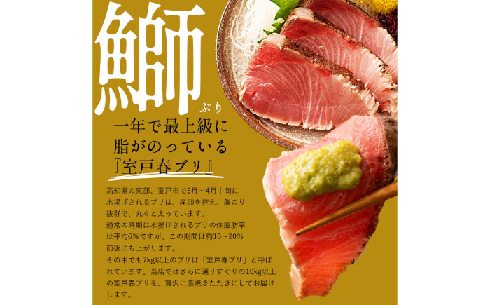 【先行予約】高知県産 鰹と天然ブリ 藁焼きたたき 食べ比べセット 約1.2kg (各約600g) 〈2026年3月～発送〉【池澤鮮魚オンラインショップ】