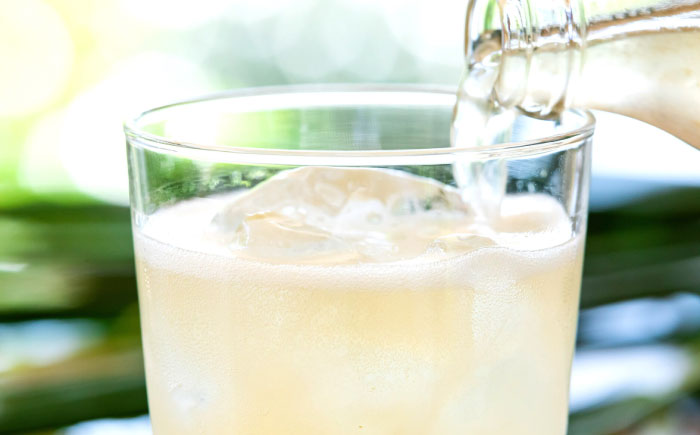 土佐山ジンジャエールマイルドM   6本セット【一般財団法人夢産地とさやま開発公社】 [ATBH003]