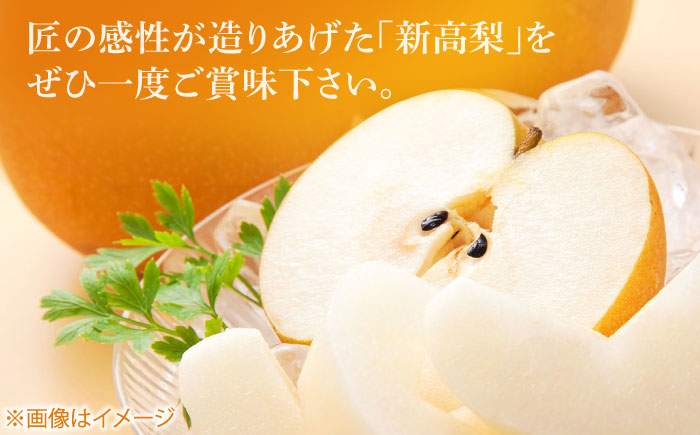 【先行予約】 まるはり新高梨（約800g×2玉入） 〈2025年9月下旬から発送開始〉 / 新高梨 梨 果物 フルーツ デザート 　【高知市農業協同組合】 [ATBK001]