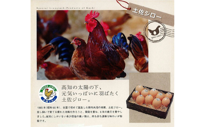 コミベーカリー 土佐のロールセット （2本入） / 高知 土佐 コミ パン ロールケーキ ケーキ スイーツ デザート セット 土佐ジロー ゆず はちみつ 生クリーム 【株式会社こみベーカリー】 [ATBN003]