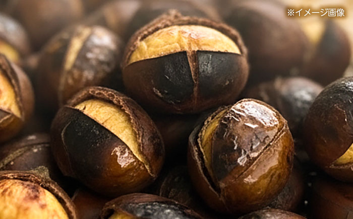 熟成四万十栗焼き栗の詰め合わせ (約150g×7袋入り) 〈2025年11月5日～2026年4月30日発送〉/ 栗 くり クリ 焼き栗 熟成 秋の味覚 秋 詰め合わせ 高知 四万十 【株式会社いちじゃもの】 [ATCB004]