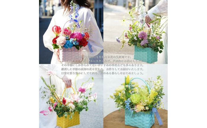 【6回定期便】季節の生花カラーバスケットフラワーM / お花 フラワー カラーバスケット アレンジ 映える リビング 装飾 作家もの カゴ 定期便 人気 季節の生花 収納バスケット ハイセンス ギフト 高知【株式会社tomoni】 [ATCG060]