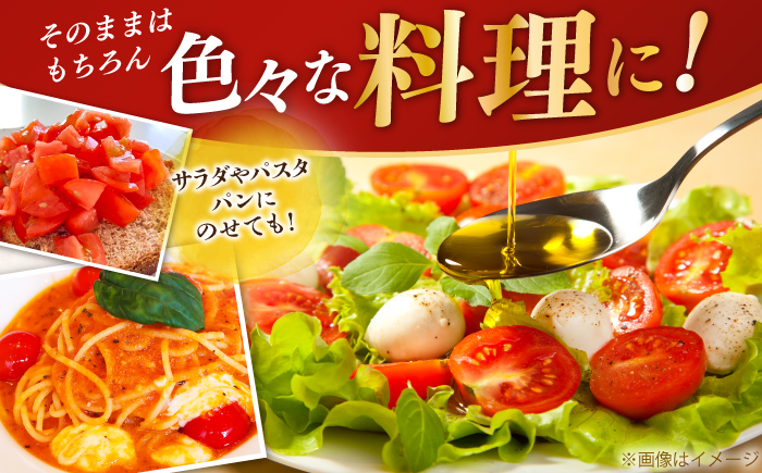 【先行予約】高知県高知市産 贅沢フルーツトマト 約2kg 〈2026年2月から発送〉 【片山農園】[ATCI001]