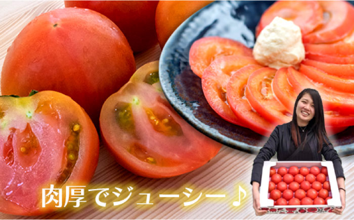 大容量4kg 高知の太陽と水で育てたこだわりのトマト「太陽の恵み」!! 【株式会社　羽根】 [ATCK001]