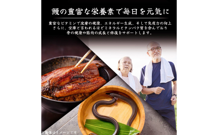 高知県産 うなぎ 長蒲焼2尾 約160g×2 (2～4人前)/ 鰻 ウナギ 土用丑の日 高知産 うなぎ 【土佐黒潮水産】 [ATCQ009]