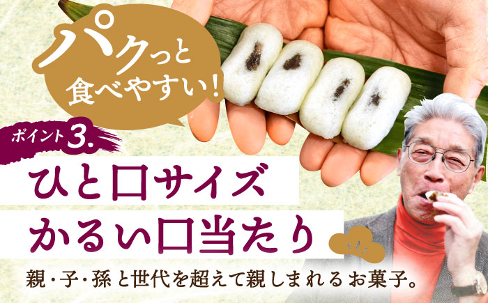 創業明治維新 浜口福月堂の野根まんじゅう 48個入 (24個入り×2箱) 【創業明治維新浜口福月堂】 [ATCT005]