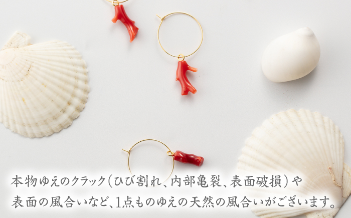 大人気??フープピアス ナチュラルな赤珊瑚 【有限会社米沢サンゴ店】 [ATCX062]