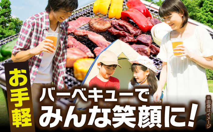 タレ漬け 牛ハラミ 約250g×8パック 計約2kg【焼肉寛十郎】小分け 個包装 味付け タレ たれ 高知県 お肉 牛肉 贅沢 焼き肉 BBQ バーベキュー 訳あり わけあり ワケアリ はらみ [ATDO015]