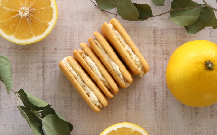 南風小夏サンド 12個入 / 高知 お菓子 おやつ 小夏 サブレ 手土産 贈答 【株式会社 浜幸】 [ATDY002]