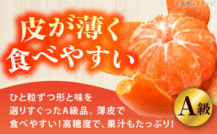 ＜サイズおまかせ＞高知県産温州みかんA級品 約3kg / みかん 柑橘 オレンジ 高知県 温州 【株式会社にしごみ】 [ATEA010]