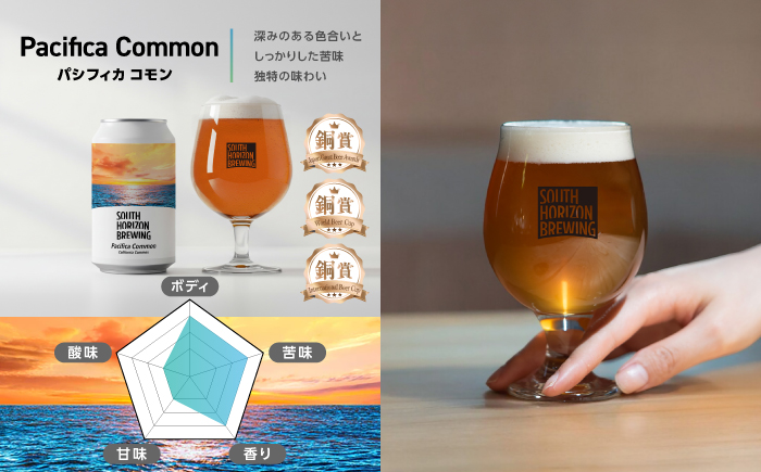 常温クラフトビール (350ml) 3種飲み比べパック (各2本) / ビール クラフトビール 麦酒 酒 飲み比べ セット 缶 ギフト 贈答用 プレゼント 【SOUTH HORIZON BREWING】 [ATEU004]