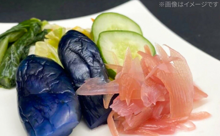 みょうが土佐酢漬け 約70g×10パック 【JapanGinger株式会社】 茗荷 ミョウガ 薬味 やくみ 漬物 ツケモノ シャキシャキ食感 適度な辛み [ATFD002]