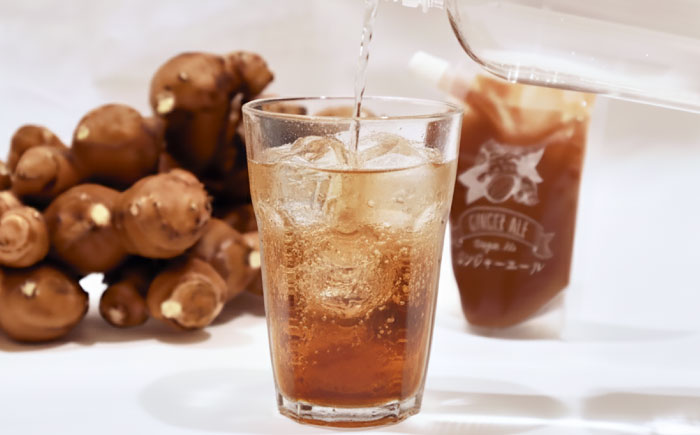 クラフトジンジャエールの素 約200ｇ×3パック / ジンジャーエール 素 シロップ ジンジャーシロップ 炭酸 炭酸割り ソーダ お湯割り ホットジンジャー アレンジ【Japan Ginger 株式会社】 [ATFD005]