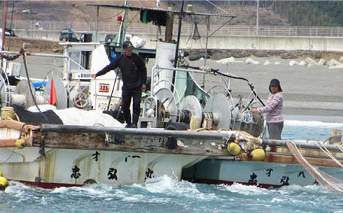 冷凍 生しらす（どろめ）約40g×20パック（ぬた付き）/真空パック イワシ シラス 魚 どろめ ぬた 冷凍 高知【春野町漁業協同組合】 [ATGA001]