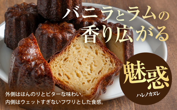 【チーズケーキ専門店】お菓子の詰め合わせ 定番ギフトセット /ギフト スイーツ チーズケーキ バスクチーズ カヌレ フィナンシェ 【ハレノ・チーズケーキ】 [ATGN003]