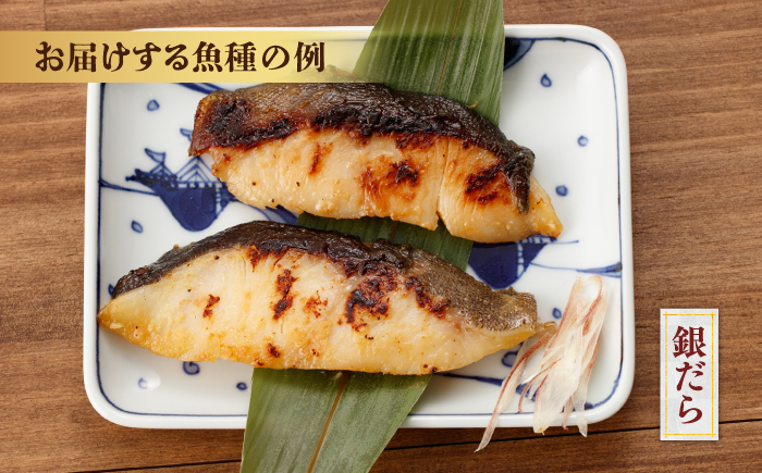 西京漬け8切セット（銀だら×2切・他おまかせ3種×各2切） / たら タラ 鱈 魚 海鮮 漬け おまかせ セット 冷凍 【株式会社サンマリン】 [ATHA010]