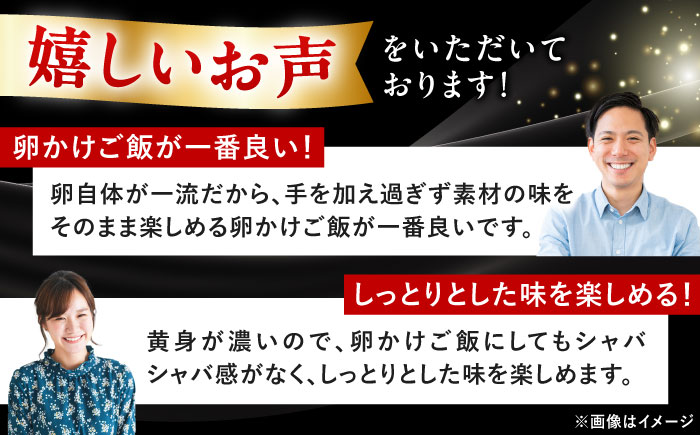 土佐ジロー鶏卵 40個 （10個×4パック）/ 高知 土佐 土佐ジロー 卵 たまご 玉子 鶏卵 卵焼き たまご焼き 玉子焼き 目玉焼き 生卵 卵かけご飯 TKG ギフト 贈り物 【とさやま養鶏場】 [ATHB002]