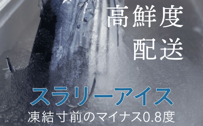 【土佐久礼かつお】 旬凍藁焼きタタキ 7～8人前（約800g） / 高知 土佐 久礼 かつお カツオ 鰹 たたき タタキ 海鮮 魚 刺身 【株式会社ジャパンダイニング】 [ATHR002]
