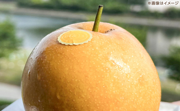 【先行予約】 新高梨 秀 約2kg（2玉） 〈2026年9月20日～2026年10月末発送〉 【川渕果樹園】 [ATHX005]