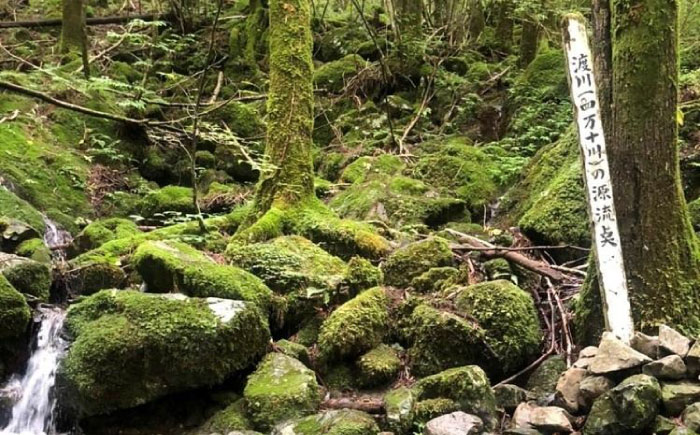 【モンドセレクション受賞】四万十純天然水 2L×6本 / 水 天然水 飲料水 ミネラルウォーター 【株式会社 四国健商】[ATAF021]