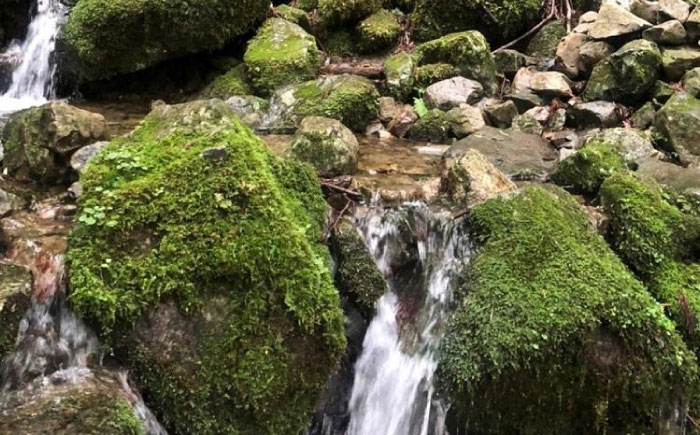 【モンドセレクション受賞】四万十純天然水 2L×12本  / 水 天然水 飲料水 ミネラルウォーター 【株式会社 四国健商】[ATAF022]