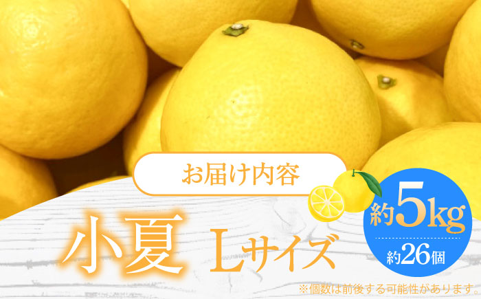 【先行予約】土佐小夏 Lサイズ 約5kg 26個前後〈2026年4月中旬～2026年7月中旬頃発送〉/ 日向夏 みかん ニューサマーオレンジ 柑橘 フルーツ こなつ 小夏 果物 特産 5キロ 高知県 <2025年4月～発送>【フルーツショップオザキ】 [ATAH004]