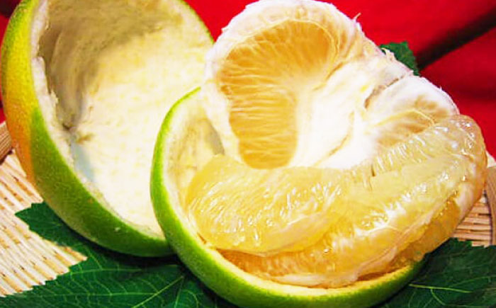 南国土佐の女王柑橘 水晶文旦 約5kg 8玉入り〈2025年9月中旬～2025年12月下旬頃発送〉/ 大玉サイズ 文旦 ぶんたん フルーツ 果物 5キロ 高知県 【フルーツショップオザキ】 [ATAH009]