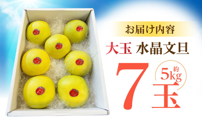 南国土佐の女王柑橘 水晶文旦 約5kg 7玉入り〈2025年9月中旬～2025年12月下旬頃発送〉/ 大玉サイズ ぶんたん 文旦 フルーツ 高知名物 果物 【フルーツショップオザキ】 [ATAH010]