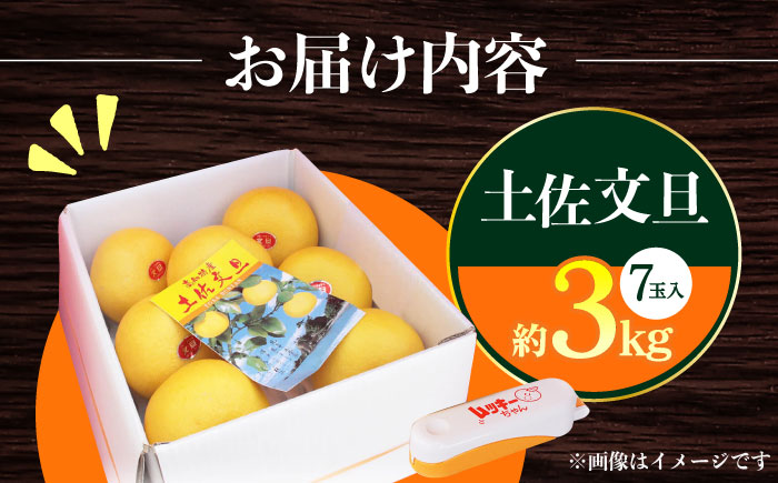 【先行予約】南国高知温室 土佐文旦 約3kg 7玉〈2025年11月中旬～2026年2月中旬頃発送〉/ 文旦 ぶんたん フルーツ 果物 3キロ 高知県 【フルーツショップオザキ】[ATAH011]