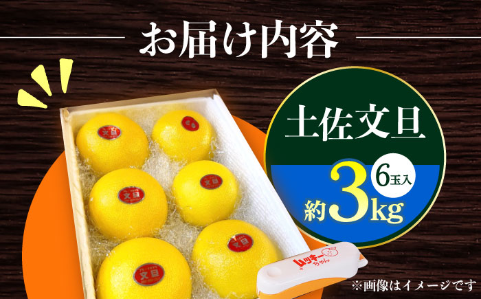 【先行予約】南国高知温室土佐文旦 約3kg 6玉〈2025年11月中旬～2026年2月中旬頃発送〉/ 文旦 ぶんたん フルーツ 果物 3キロ 高知県 【フルーツショップオザキ】[ATAH012]