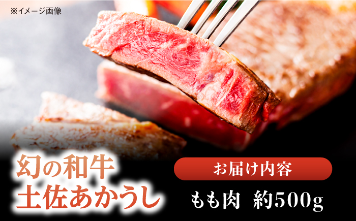 土佐あかうし 塊肉ステーキ 約500g（もも）【株式会社Dorago】 [ATAM046]