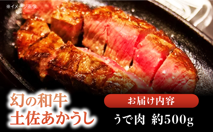 土佐あかうし 塊肉ステーキ 約500g（うで）【株式会社Dorago】 [ATAM047]