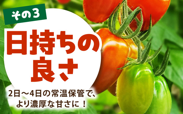 【先行予約】 徳谷はじまりトマトのミニトマト 約1kg ミックス〈2026年3月～発送〉 /ミニ プチ トマト 高糖度 高知トマト 【株式会社Dorago】 [ATAM051]