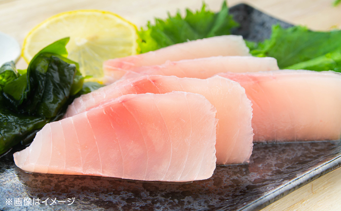 厳選 天然 マグロ 2種セット（計約650g） / 高知 魚介 海鮮 鮮魚 魚 マグロ まぐろ 鮪 新鮮 天然 刺身 寿司 セット 【株式会社Dorago】 [ATAM054]