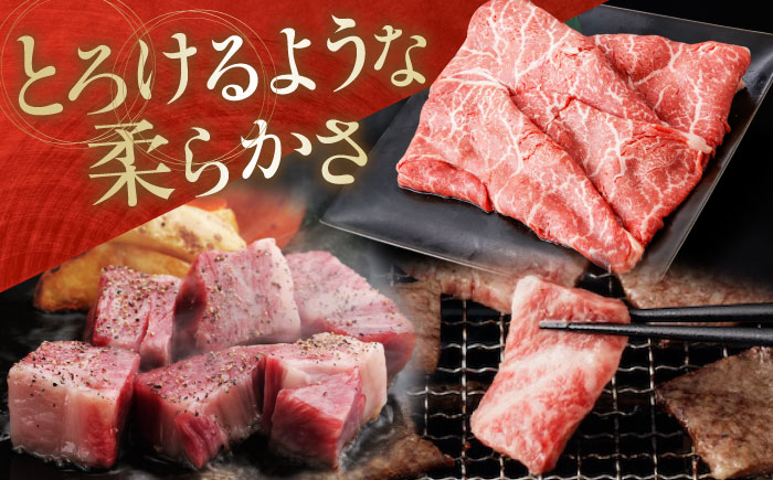 高知から美味しいお肉の玉手箱! 化粧箱入り 総計約840g 牛肉 ステーキ 焼肉 切り落とし 国産 A4 A5 【(有)山重食肉】 [ATAP020]