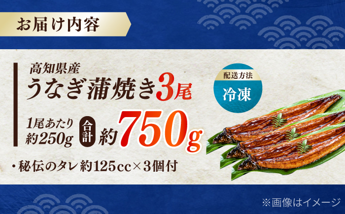 高知産 うなぎ 蒲焼き 3尾入（約250g×3尾） / 国産 うなぎ 鰻 ウナギ 蒲焼 味付き 【池澤本店】 [ATAU007]