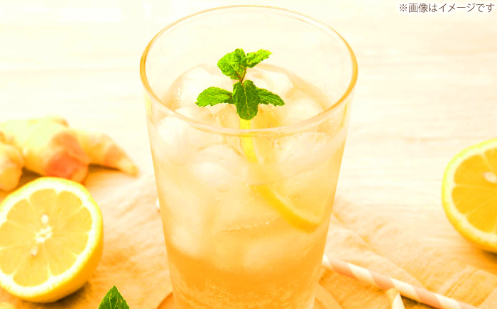 黄金しょうがのジンジャーエール6本/ 土佐生姜 スパークリング ジンジャーエール 爽やか【はるのTERRACE】 [ATAV001]