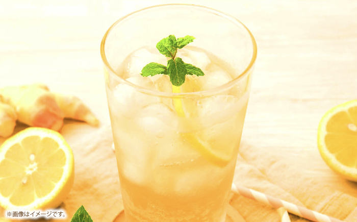 黄金しょうがのジンジャーエール12本/ 土佐生姜 スパークリング ジンジャーエール 爽やか【はるのTERRACE】 [ATAV002]