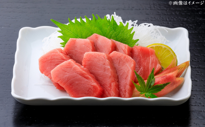 本まぐろ 中トロ 約500g 【株式会社 七和】 / まぐろ 鮪 トロ 中トロ 刺身 さしみ まぐろトロ 本鮪 冷凍 海鮮 魚介 魚 柵 高級 高知県 高知市 養殖 [ATAX028]