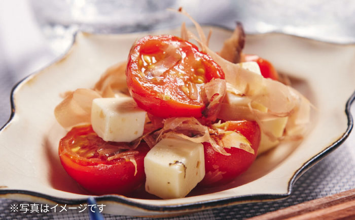 鰹新節削り 約40g×10個入り / 鰹節 かつお節 カツオ節 かつおぶし 鰹 かつお カツオ 高知県 高知 小分けパック【株式会社 海訪屋】 [ATBC002]