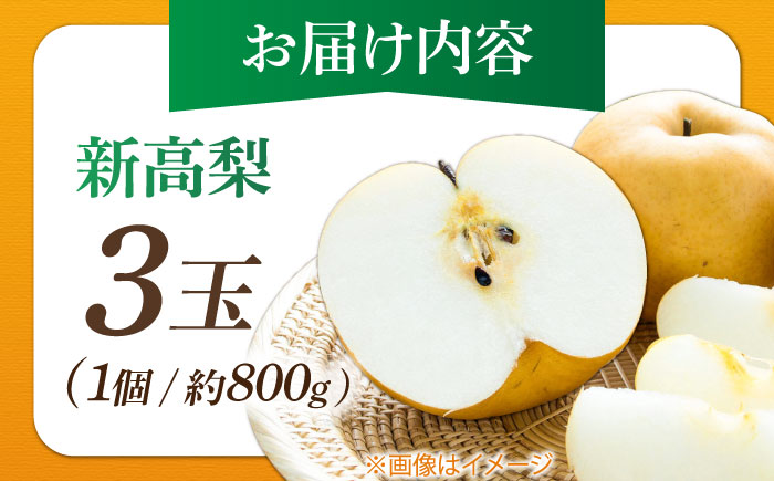 【先行予約】 まるはり新高梨（約800g×3玉入） 〈2025年9月下旬から発送開始〉 / 新高梨 梨 果物 フルーツ デザート 　【高知市農業協同組合】 [ATBK002]