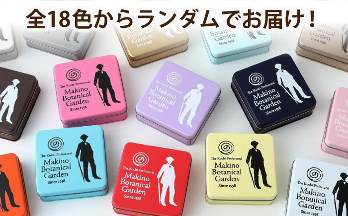 牧野富太郎 (牧野植物園）クッキー缶【セブンデイズホテル】 [ATBR003]