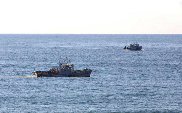【産地直送】新鮮釜揚げちりめんじゃこ 約1kg 【土居海産】 [ATBT001]
