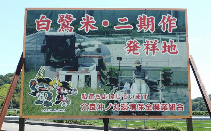 【6回定期便】 新米 R7年度産 特別栽培米 農薬節減！ 白鷺米 にじのきらめき 各約5kg 合計約30kg / 高知 米 お米 精米 　【津ノ宮農園】[ATBV007]